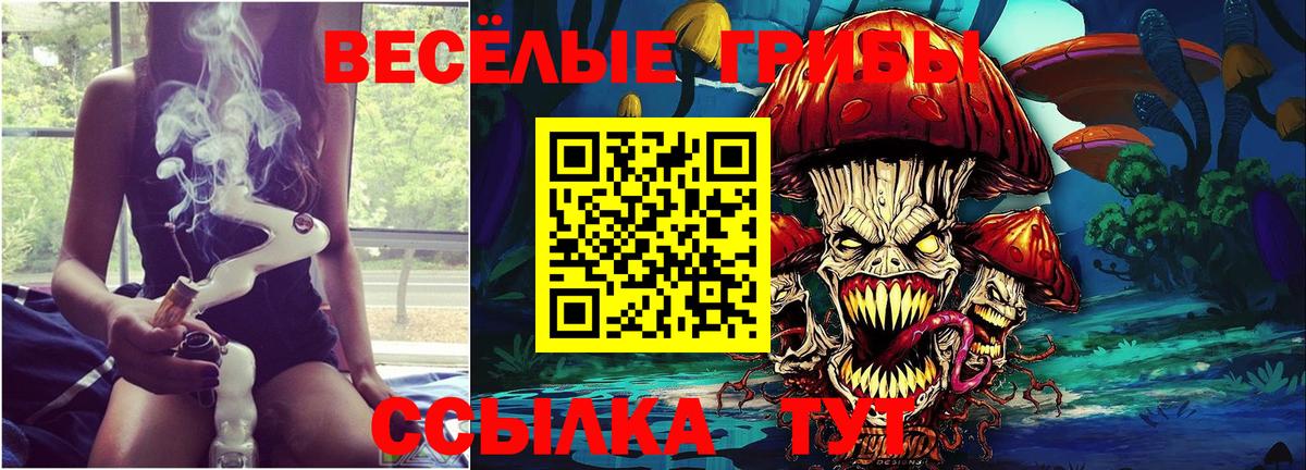 Галлюциногенные грибы Magic Shrooms  Псилоцибиновые грибы прущие грибы  Кудымкар  Вход с VPN 